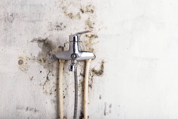 Best Water Damage Restoration  in Baiting Hollow, NY
