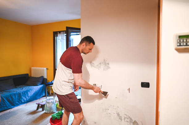 Mold Removal and Inspection in Baiting Hollow, NY